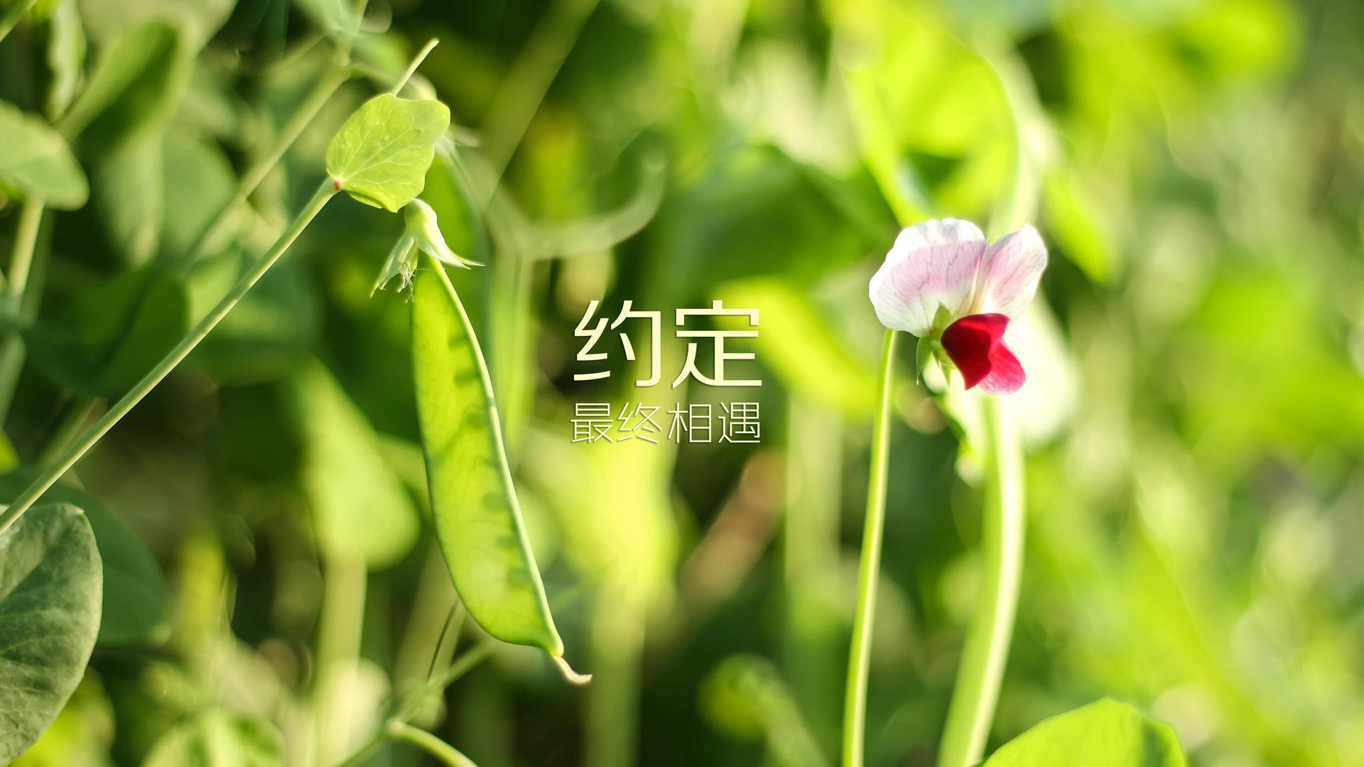 kaiyun开云体育-中小学体育课程教学方法创新及效果评估，中小学体育教学课程设计