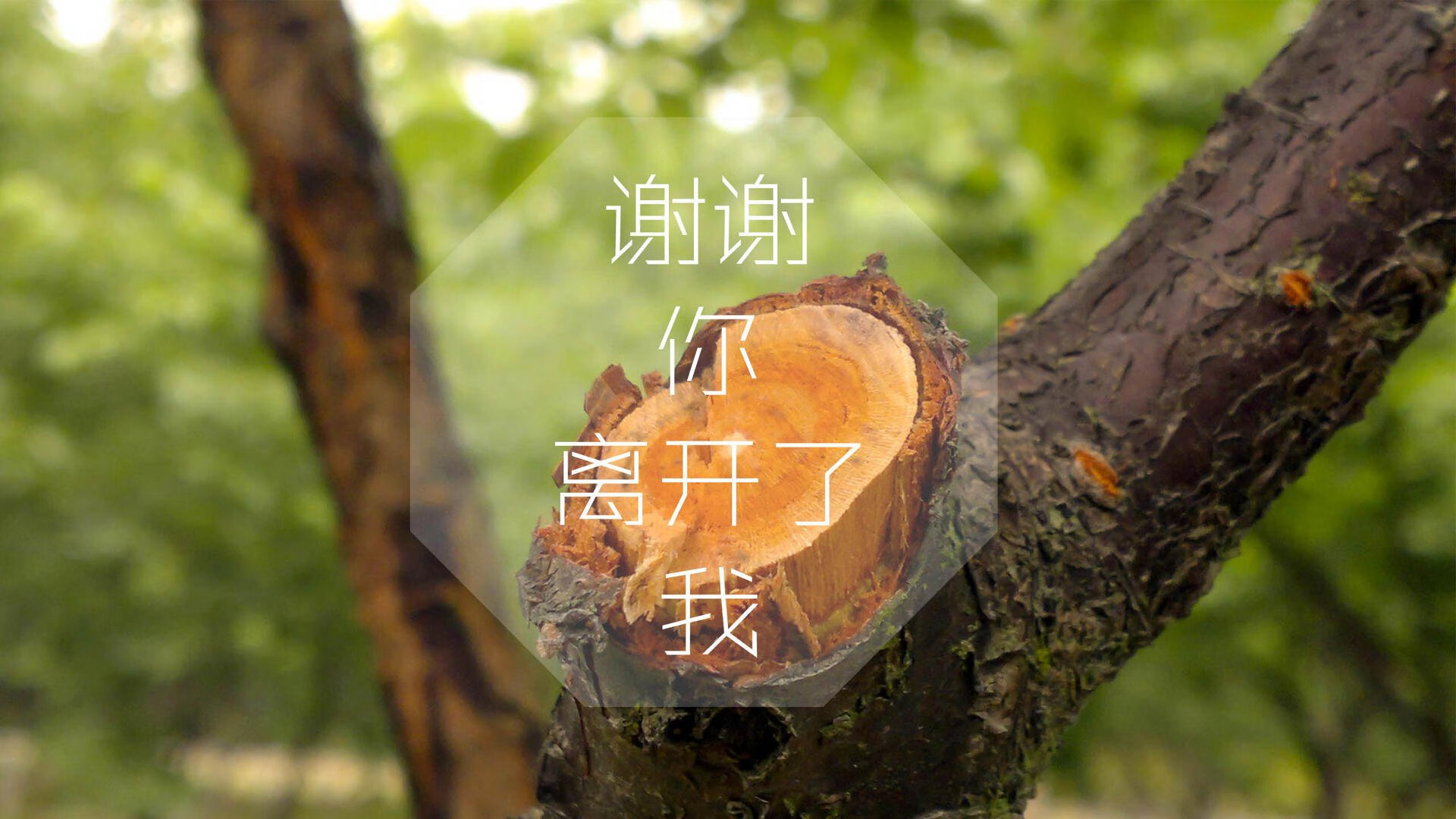 开云体育在线下载-球员体能追踪：运动数据驱动的训练革新，百度体育球员能力图