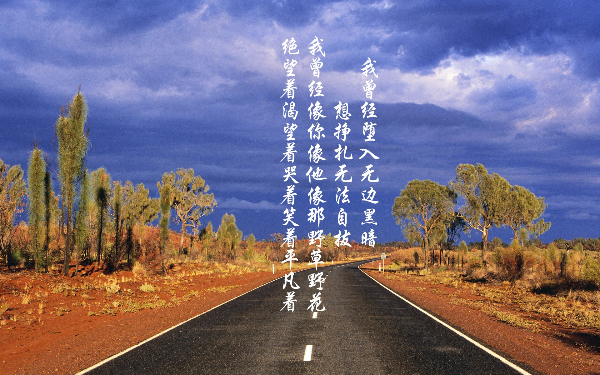 开云官方网-“武汉马拉松赛：谁能打破传统，赢得金牌？”