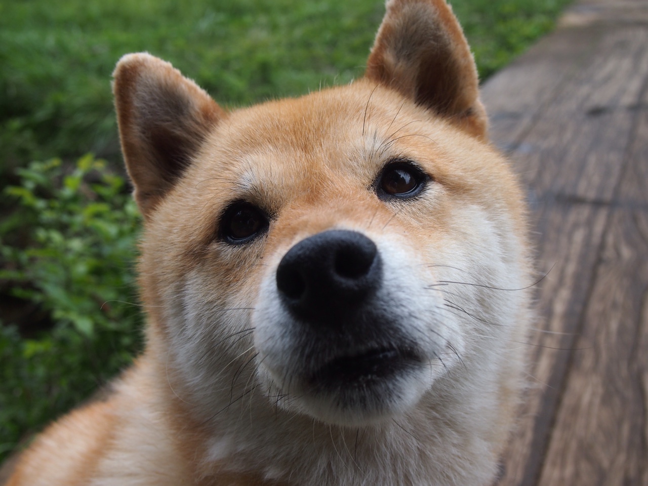 开云官方网-“武汉马拉松赛：谁能打破传统，赢得金牌？”