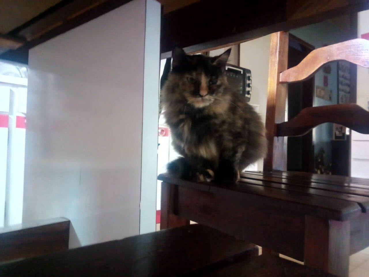 开云体育app入口-中国男篮在多场硬仗中锤炼意志，中国男篮虽败犹荣