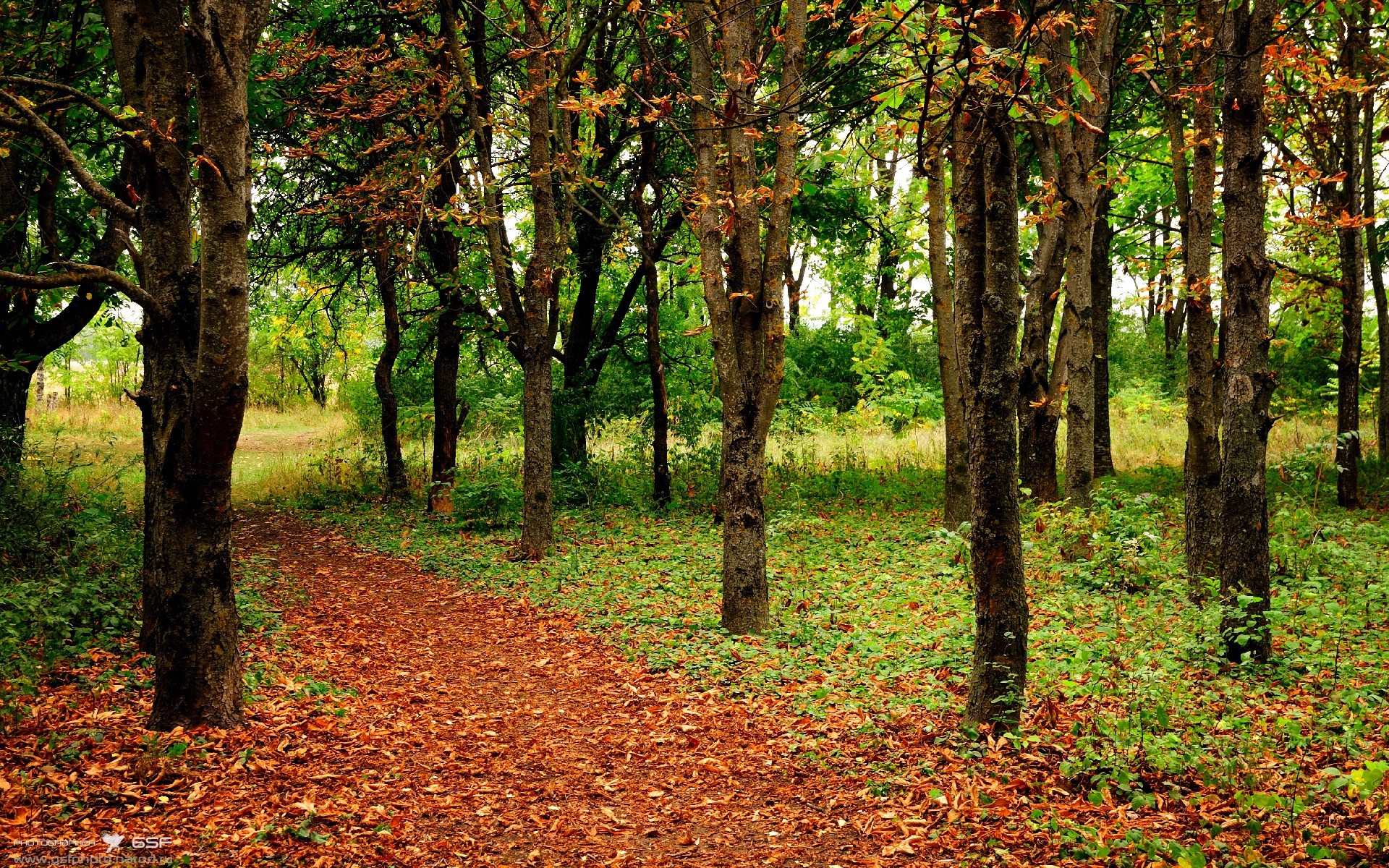 kaiyun网址-中国男篮积极引进国际先进训练理念，中国男篮邀请制