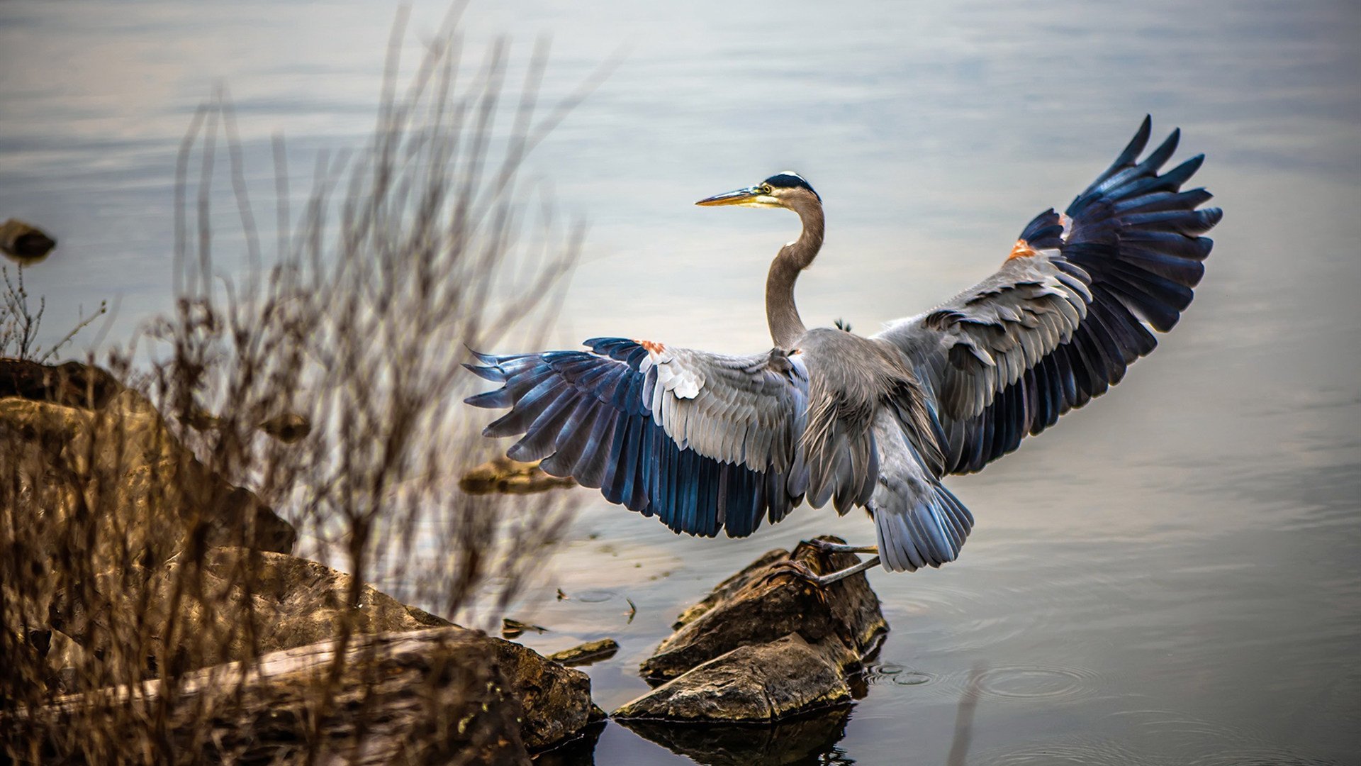 开云体育在线下载-国际米兰防线稳定化解对方冲击，国际米兰战术