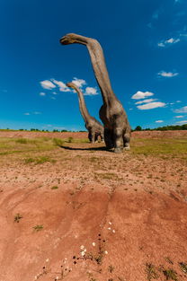开云官方网-滑雪场寒假开放前安全演练全覆盖，滑雪场安全提示牌