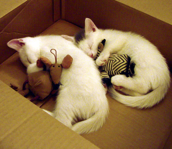 开云体育在线入口-联赛中上游球队与下游球队阵型风格迥异分析，中上游球队是第几名