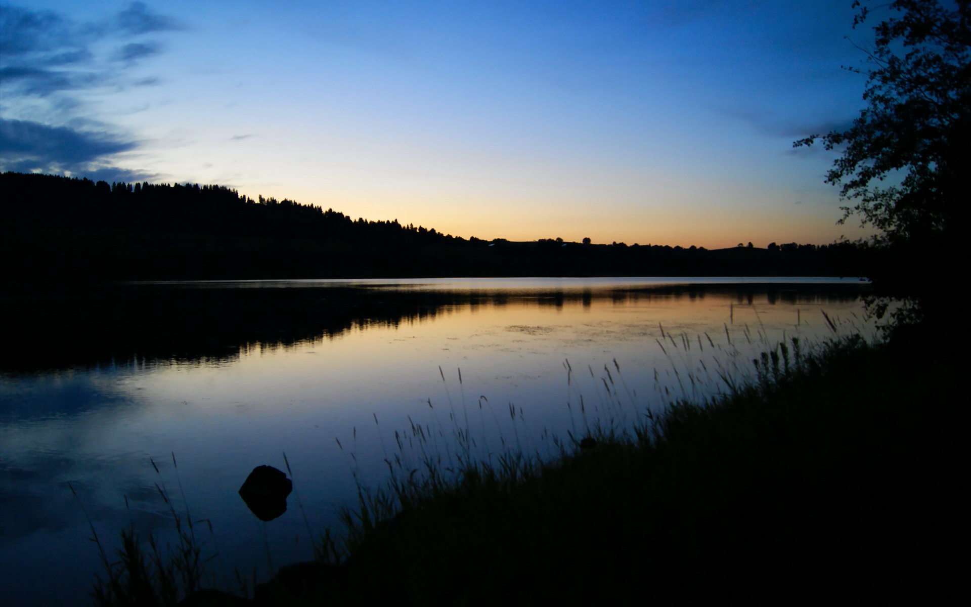 开云体育官网上-蛙泳段澳洲优势明显 中国顶住压力，澳大利亚蛙泳名将