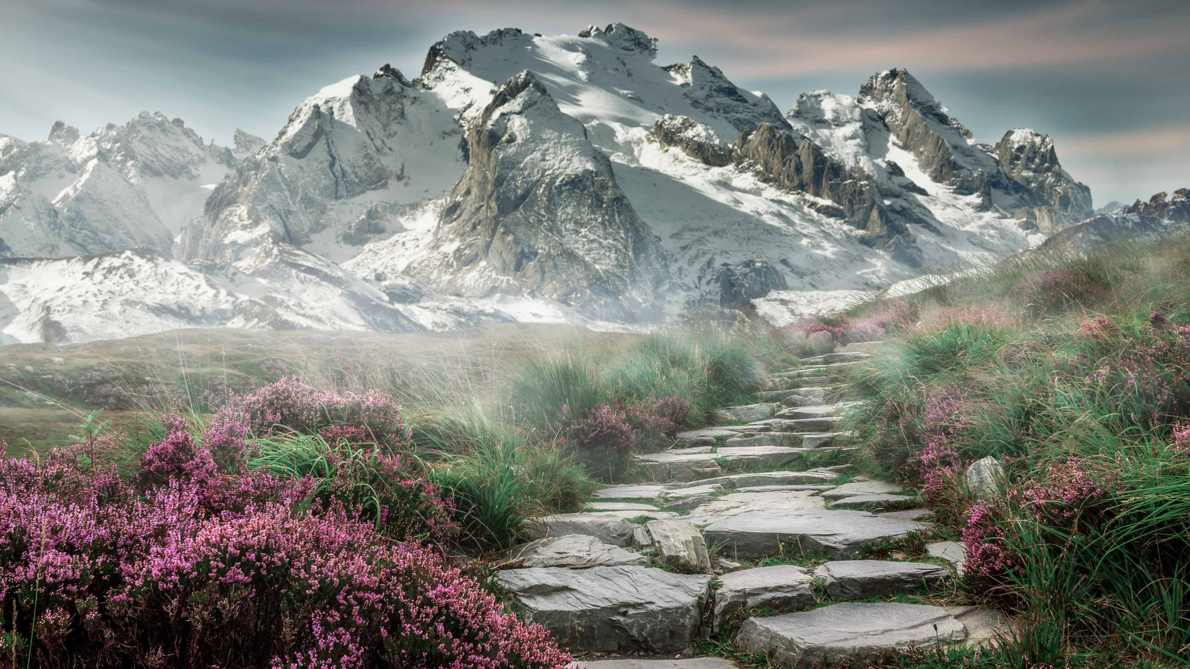 开云体育在线登入-连胜卡塔尔和科威特，展现防守反击能力，科特卡vs哈卡