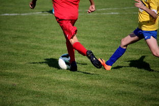 开云app-中国足球国家队心理调适训练常态化开展，足球运动员的心理训练