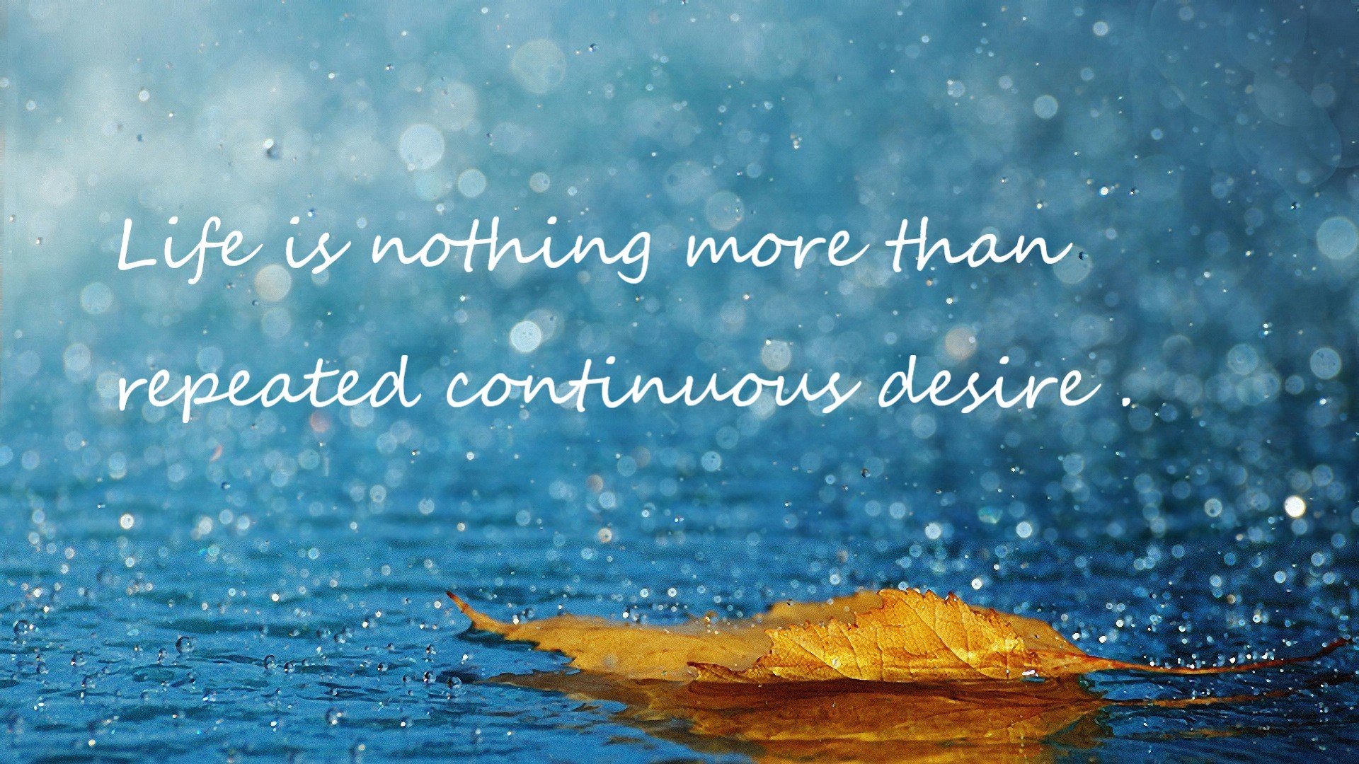 开云体育app入口-中国足球青少年足球培训项目全面升级，青少年足球培训营