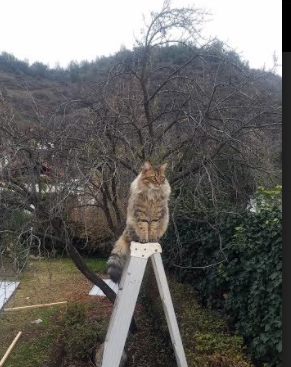 开云体育下载-基层体育发展提速城市间赛事交流日益频繁,基层体育组织