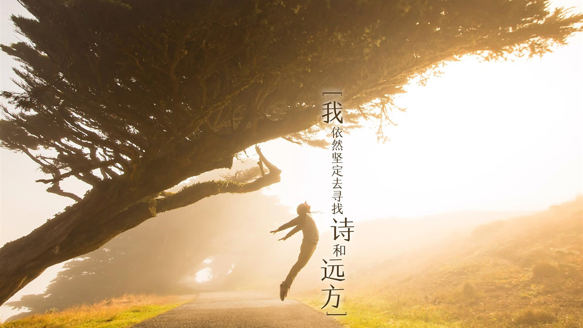 开云体育链接-德甲强悍对抗:攻防之间的战略博弈,德甲强度