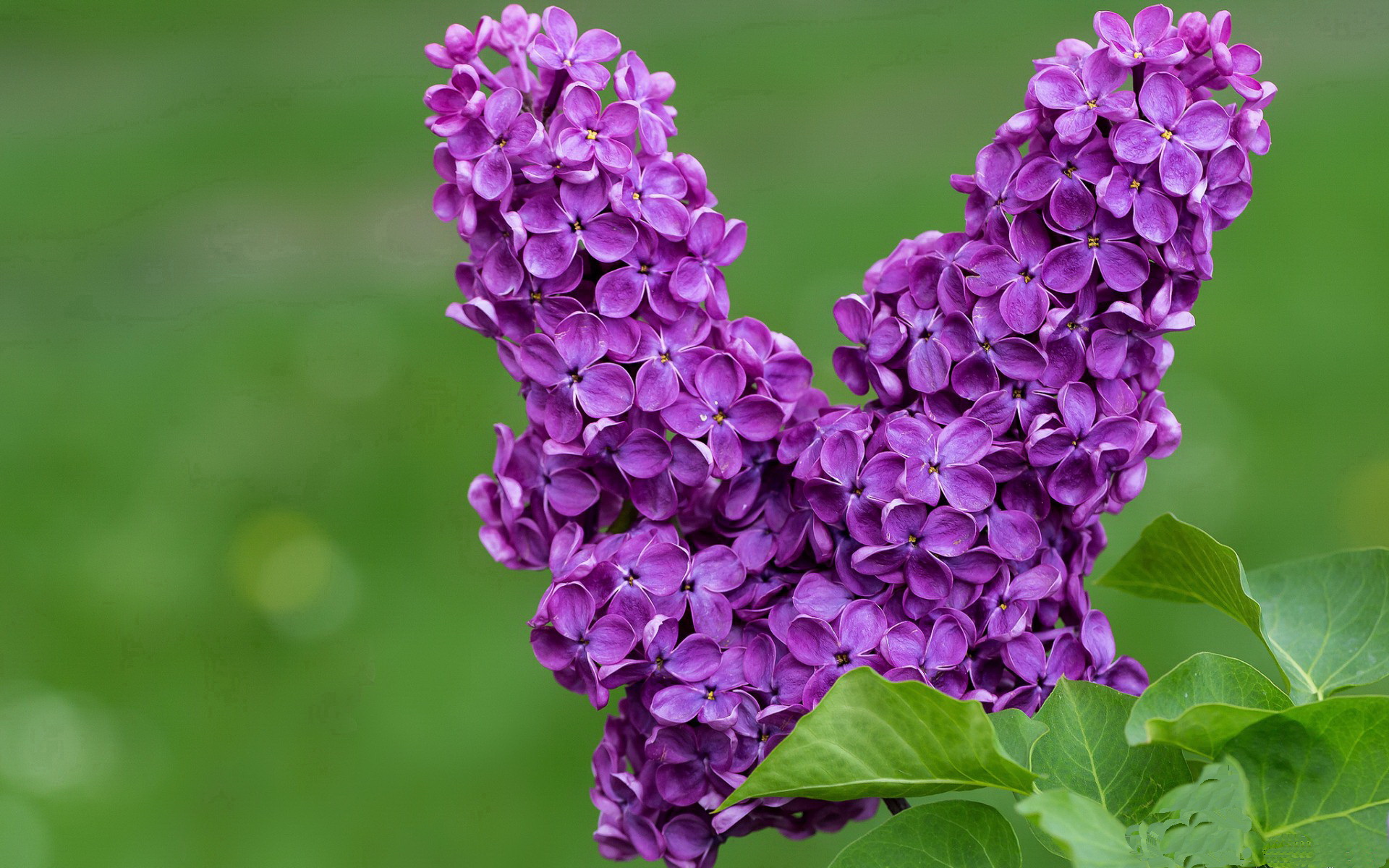 kaiyun开云体育-意甲狂热对决:速度、技术、战术的绝佳演绎,意甲热身赛