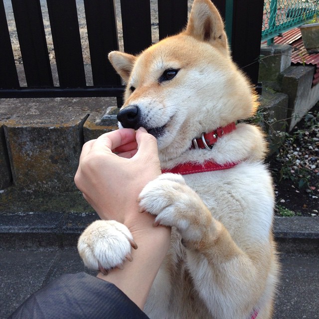 开云官网-欧洲杯变阵疯狂:策略精彩引爆战场!,欧洲杯迎来结局